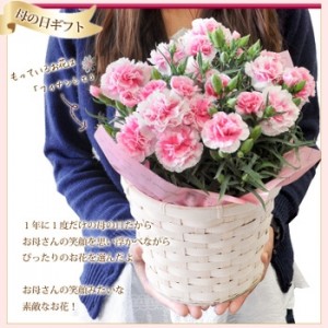 カーネーションをプレゼントする女性