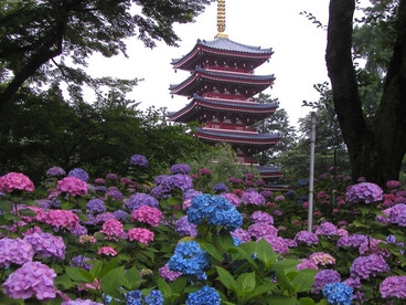 出典 http://circlejpg.com/cosevent/hondoji/index.html