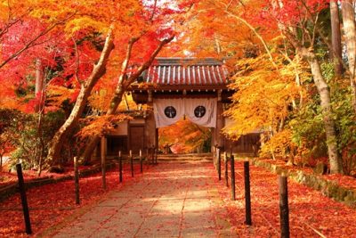 光明寺の紅葉