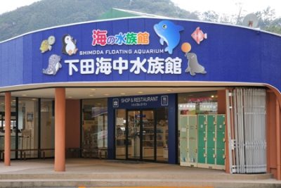 下田海中水族館
