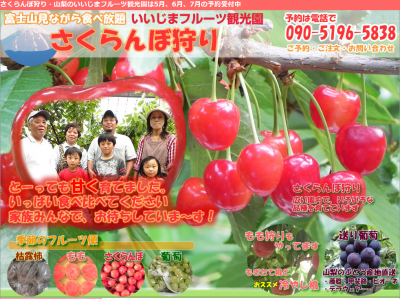 山梨さくらんぼ狩り