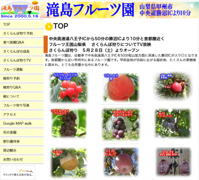 山梨さくらんぼ狩り