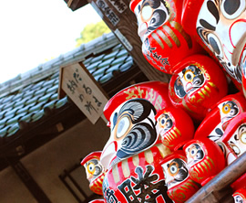 鼻高展望花の丘コスモス祭り