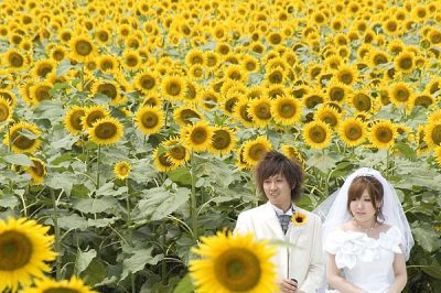 津南ひまわり広場