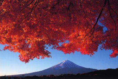 河口湖の紅葉2016