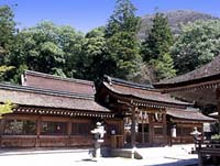 亀岡夢コスモス園2016
