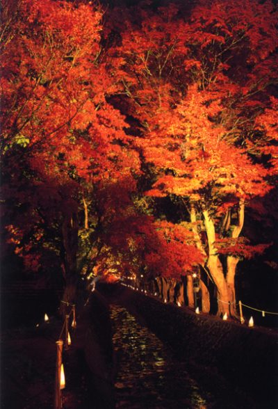 河口湖の紅葉2016