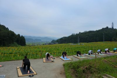 与謝野町ひまわりフェスティバル