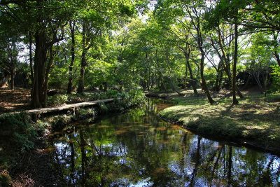 磯川緑地公園