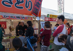 福岡・水巻町コスモスまつり2016