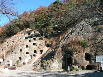 埼玉吉見コスモス祭り