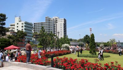 ヴェルニー公園2016