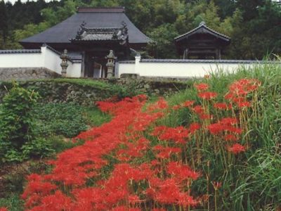 備前焼祭り2016