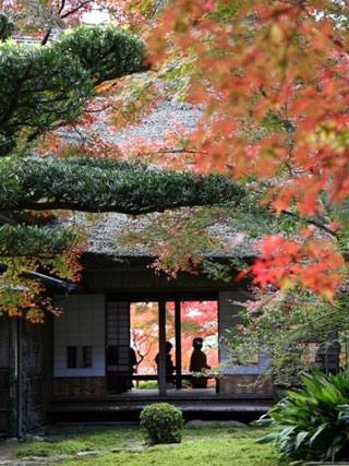 九年庵