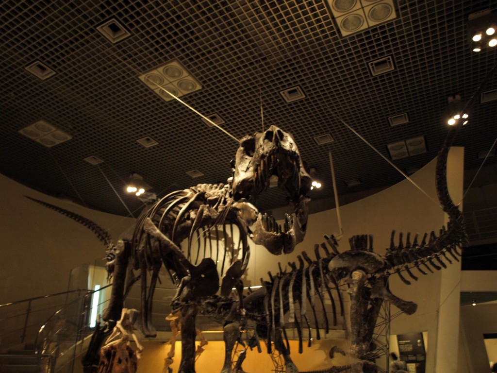 恐竜ティラノサウルスの模型