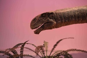 いのちのたび博物館白亜紀ゾーンの恐竜