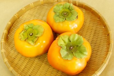 柿の種類の見分け方 甘柿と渋柿の見分け方が知りたい お出かけやおしゃれ好きmisaのブログ