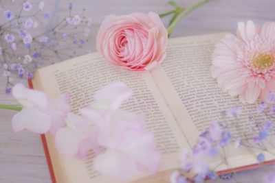 桜と本